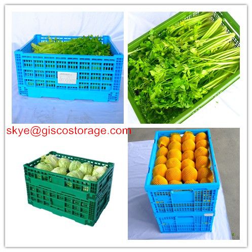 vegetable mesh storage crate