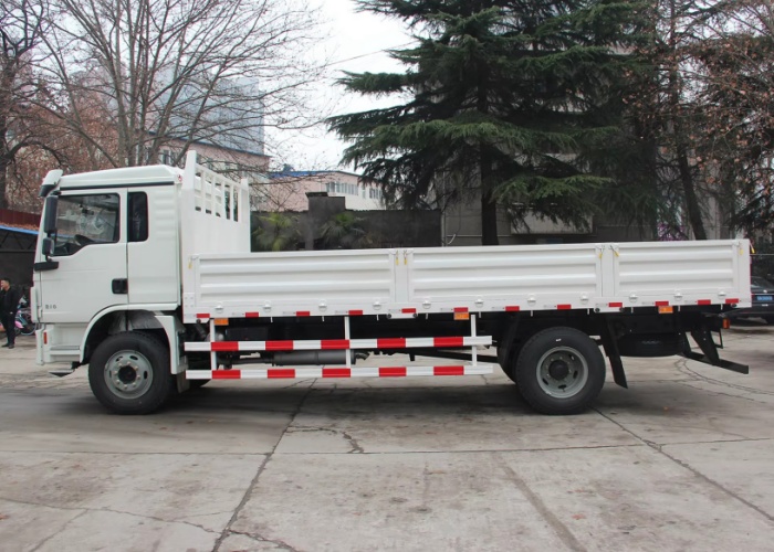SHACMAN L3000 4x2 cargo truck (3)