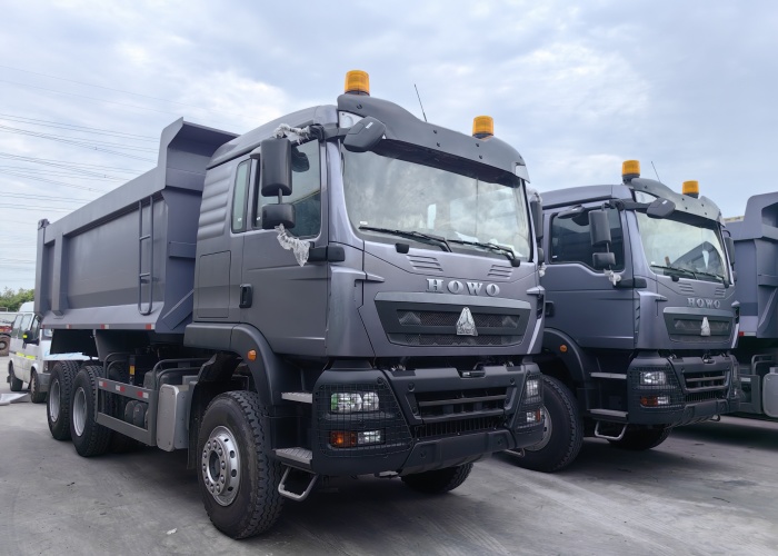 HOWO TX 10 Wheels Algeria Hot Selling Tipper Truck for Sale (1)