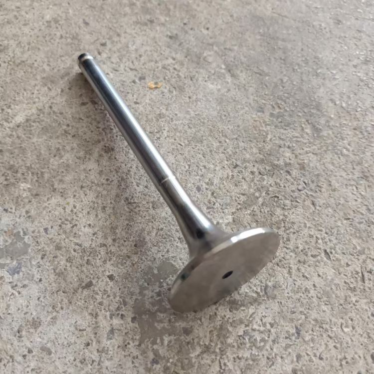 SINOTRUK HOWO SHACMAN Delong Weichai Engine Euro II Exhaust Valve 612600050025 for Sale (4)