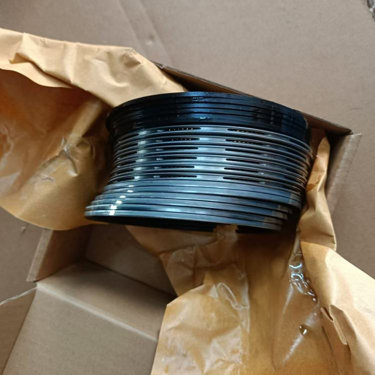WEICHAI WP4 DEUTZ 226B Piston Ring Assembly Truck Parts Engine Overhaul Kit Hot Sale (3)