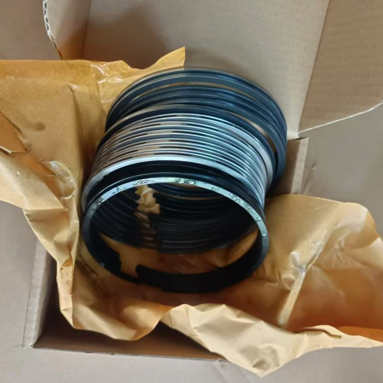 WEICHAI WP4 DEUTZ 226B Piston Ring Assembly Truck Parts Engine Overhaul Kit Hot Sale (4)