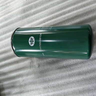 FAW Ca6dm2 Engine Fuel Fine Filter 1117050b81dm for FAW J6 J7J6VJ6pJ6lJ6eJ6gJ6mJh6Jk6Jh5 Truck Engine Parts (1)