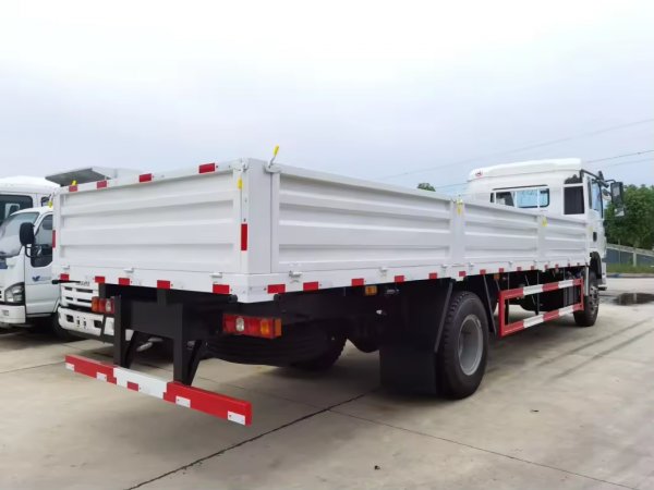 SHACMAN D-Long L3000 4x2 210hp Normal Cargo Truck (4)