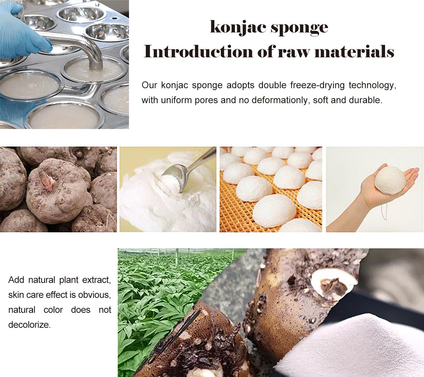 6f0321d9c77312d9916bc20021883c5