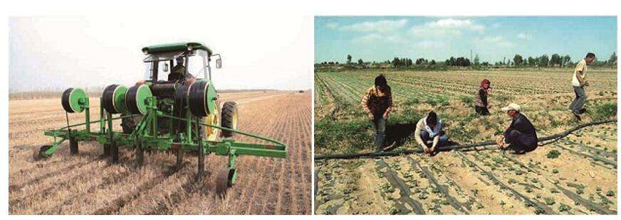 QQ截圖20160929174210