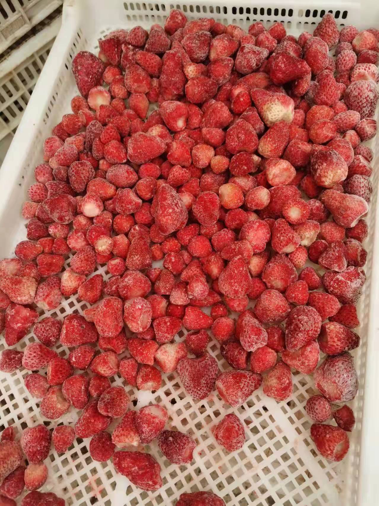 ede4e005e27bf77c1dceacc2986daaf