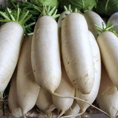 新鲜白萝卜