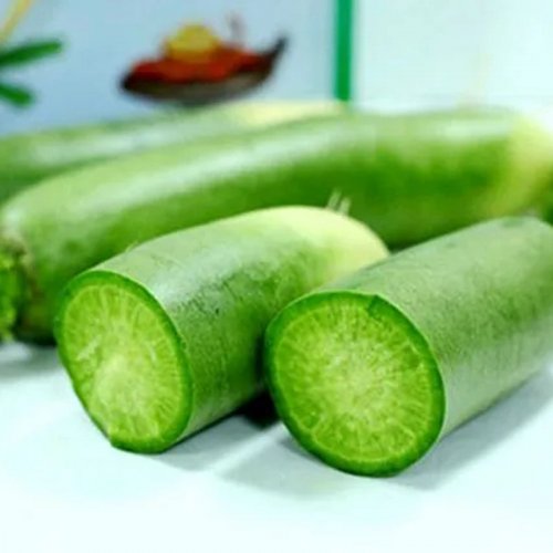 新鲜青萝卜