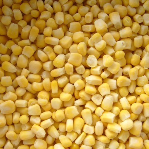 玉米粒