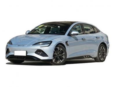 BYD Seal Middle Car 550KM EV Electric Vehicle