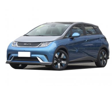 Hot Sale Byd Dophin 405Km City EV