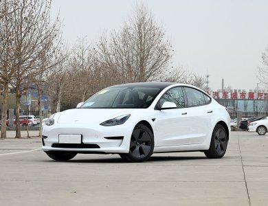 Tesla Model3 556KM EV CAR 