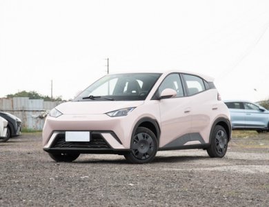 BYD Seagull Vitality Electric Car 305km Glory EV