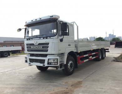 Algeria Shacman F3000 6x4 Cargo Truck 
