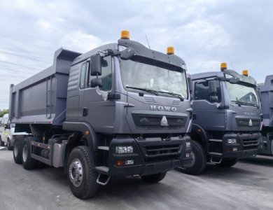 HOWO TX 10 Wheels Algeria Hot Selling Tipper Truck for Sale