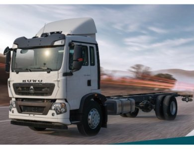 HOWO TX-M 4x2 Algeria Cargo Truck Chassis for Sale