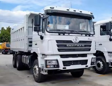 SHACMAN F3000 340hp 6x4 Algeria Dump Truck for Sale