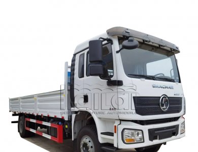 SHACMAN L3000 4x2 Cargo truck 