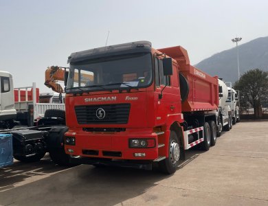 Algeria Market Shacman F2000 10 wheel Dump Truck optional color for sale