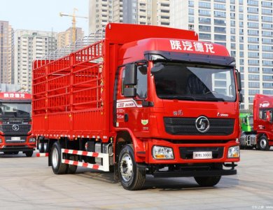 Algeria SHACMAN L3000 4x2 Fence cargo truck red for sale 