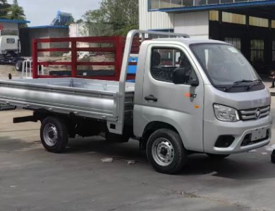 Foton TM1 Fence truck - Reliable 3T Cargo Truck with Euro II Emission Standard