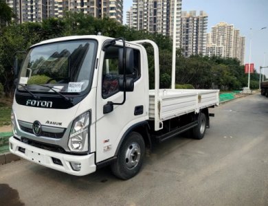 FOTON Aumark E 4x2 3t RHD Flatbed Cargo Truck for Sale