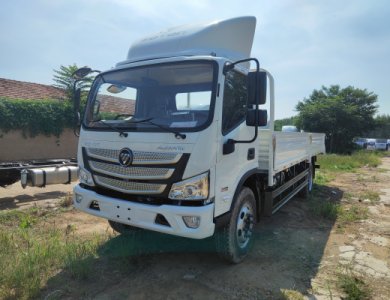 FOTON Aumark S 4x2 5t Cargo Flatbed Truck for Sale