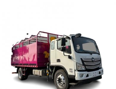 Cummins 4×2 165 HP 10-ton 5.5 m Cattle Livestock Truck 10-ton Animal Transport Truck for Sale