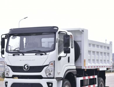 SHACMAN SAGMOTO X9/X7S 4×4 130 HP Euro II 4.2 m Dump Tipper Truck 3 800 mm WB for Sale