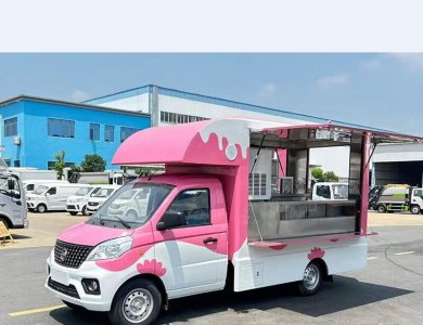 Foton 4x2 RHD 87HP Euro 5 Gasoline Mobile Food Truck with Griddle, Deep Fryer, and Outdoor Gas Oven for Sale