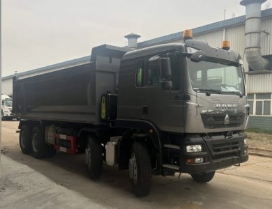HOWO TX 400hp 8x4 Tipper Dump Truck for Algeria Sale