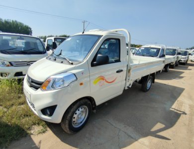 FOTON Xiangling V 1t 4x2 Gasoline Cargo Truck for Sale