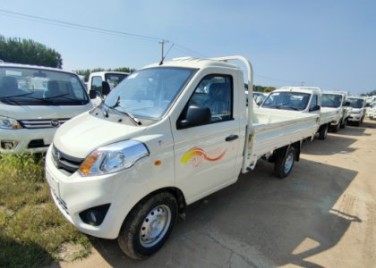 FOTON Xiangling V 1t 4x2 Gasoline Cargo Truck for Sale