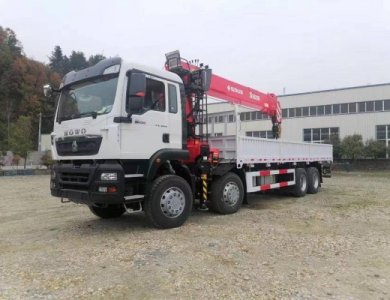 HOWO TX Heavy Duty 8x4 Truck Mounted 16t Crane for Sale
