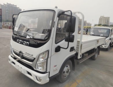 FOTON Aumark E 3t 4x2 Flat Light Truck for Sale