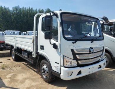 FOTON Aumark S 5t 4x2 Flat Light Truck for Sale