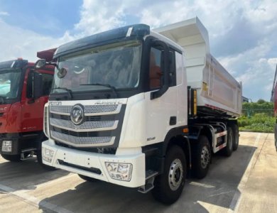 FOTON AUMAN 8x4 380hp Dump Truck for Sale