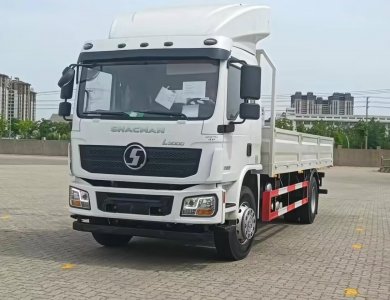 SHACMAN L3000 4x2 Cargo Truck | 15 Ton Light-Duty Lorry for Sale