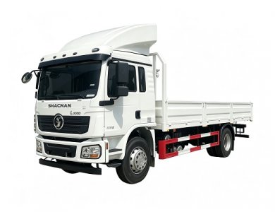 SHACMAN L3000 4x2 Cargo Truck 210hp For Algeria Brand New High Quality