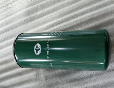 FAW Ca6dm2 Engine Fuel Fine Filter 1117050b81dm for FAW J6 J7/J6V/J6p/J6l/J6e/J6g/J6m/Jh6/Jk6/Jh5 Truck Engine Parts