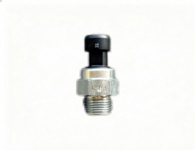 SINOTRUK Oil Pressure Sensor VG1092090311 Truck Parts for Sale