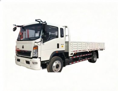 HOWO Cargo Truck 5Ton 4x2 100HP SINOTRUK Mini Truck for Sale