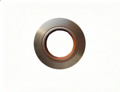SINOTRUK Differential Input Oil Seal WG7117329001-1 Truck Parts for Sale