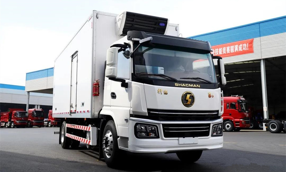 Shacman 6 Wheels 10 Ton to 15 Ton Refrigerated Truck