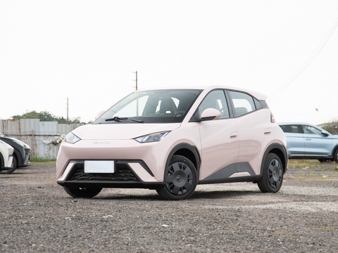 BYD Low Price 2024 Seagull Vitality 305km Glory Style EV Electric Car for Sale