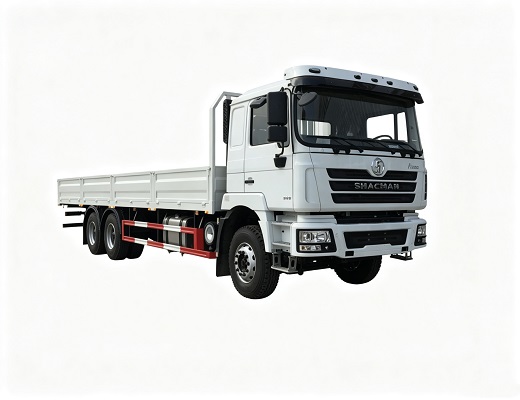 SHACMAN F3000 Cargo Truck 6x4 SX1255DR564 Left Hand For Sale