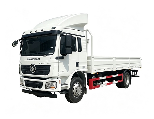 SHACMAN L3000 4x2 Cargo Truck 210hp For Algeria Brand New High Quality