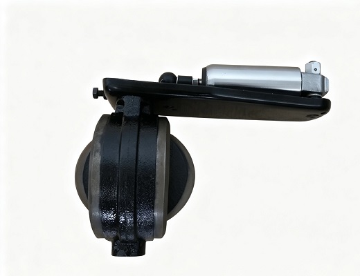 SHACMAN Truck Parts Exhaust Brake Butterfly Valve DZ9100189008 for Sale