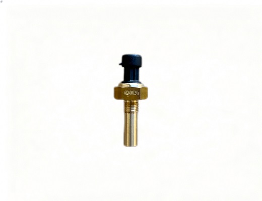 Water Temperature Sensor 612600090917 for SINOTRUCK Series Truck Parts Hot Sale